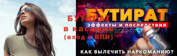 индика Елизово