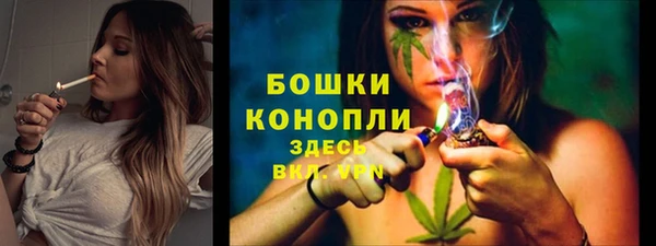 spice Заволжск