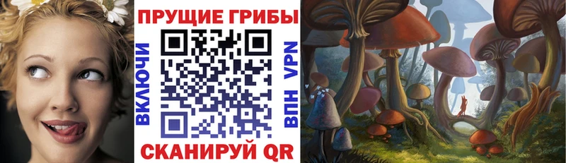 Псилоцибиновые грибы ЛСД  Зерноград 