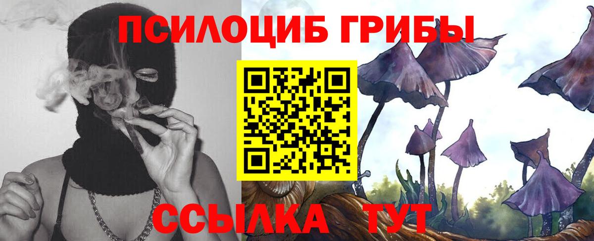 даркнет сайт  Псилоцибиновые грибы мицелий  Вход с VPN  Зерноград 